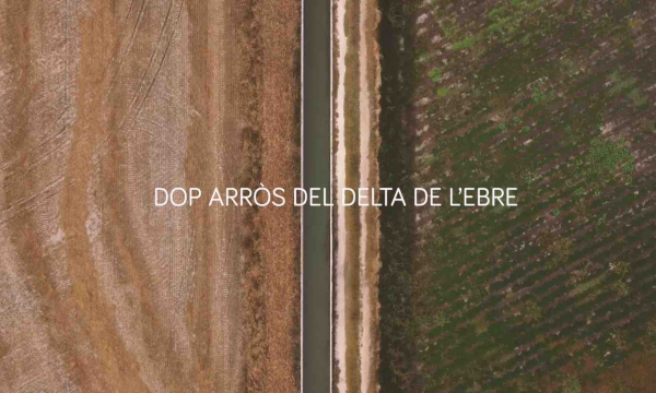 Enlairem les DOP-IGP Catalanes. DOP Arròs del Delta de l’Ebre