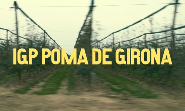 En ruta! Amb en Pep Nogué. IGP Poma de Girona