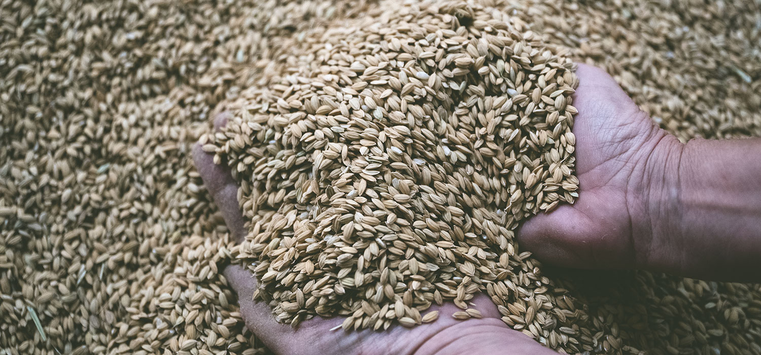 DOP Le riz du delta de l'Èbre