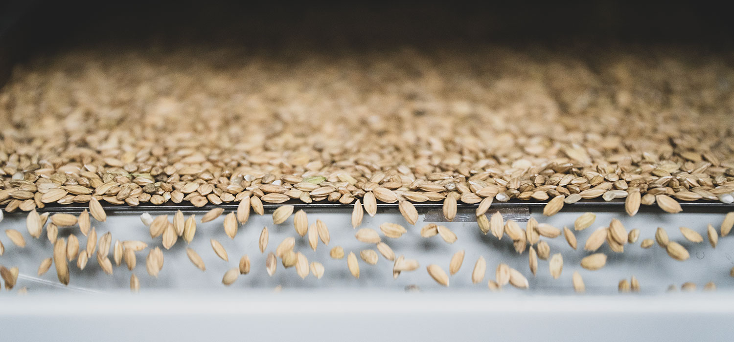 DOP Le riz du delta de l'Èbre