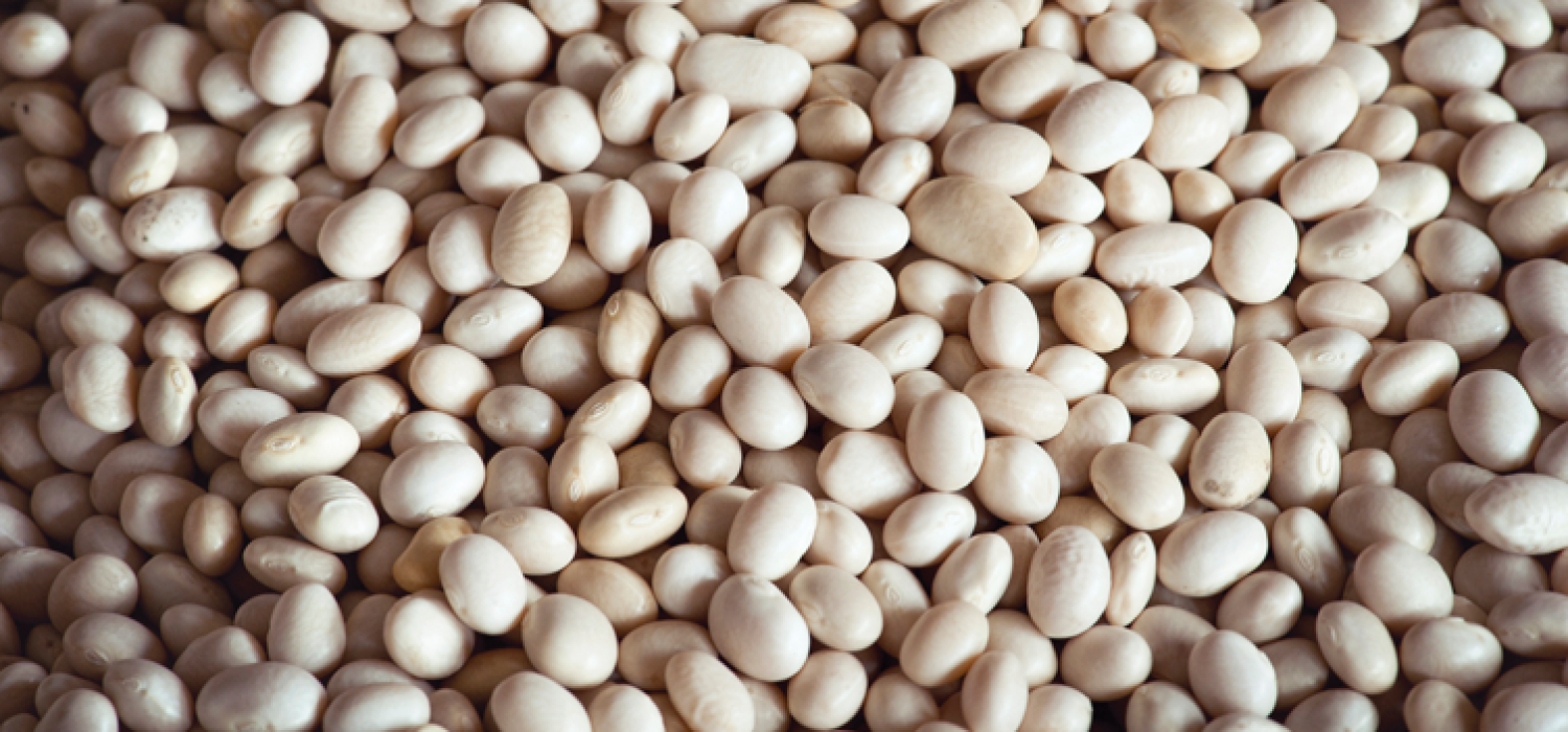 DOP Fesols Santa Pau