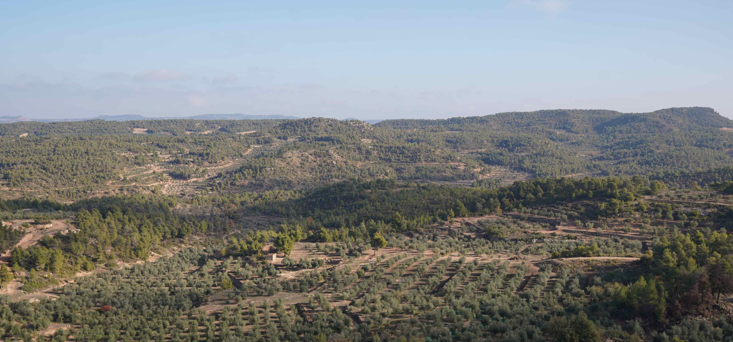 DOP Les Garrigues