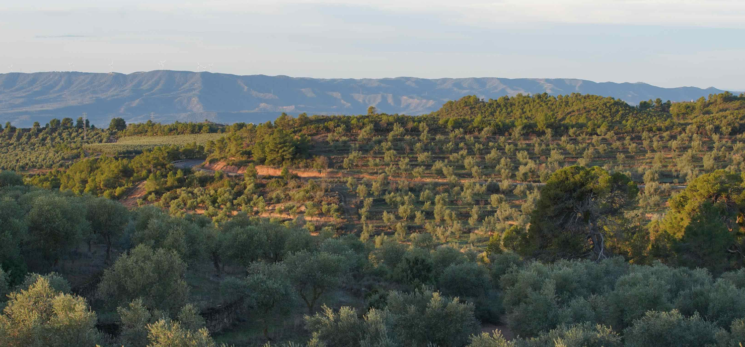 DOP Siurana