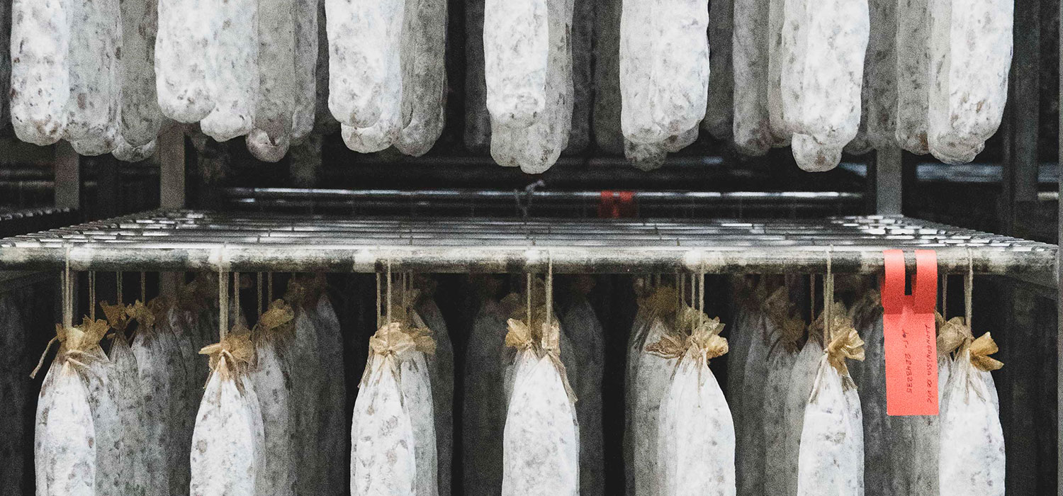 IGP Llonganissa de Vic