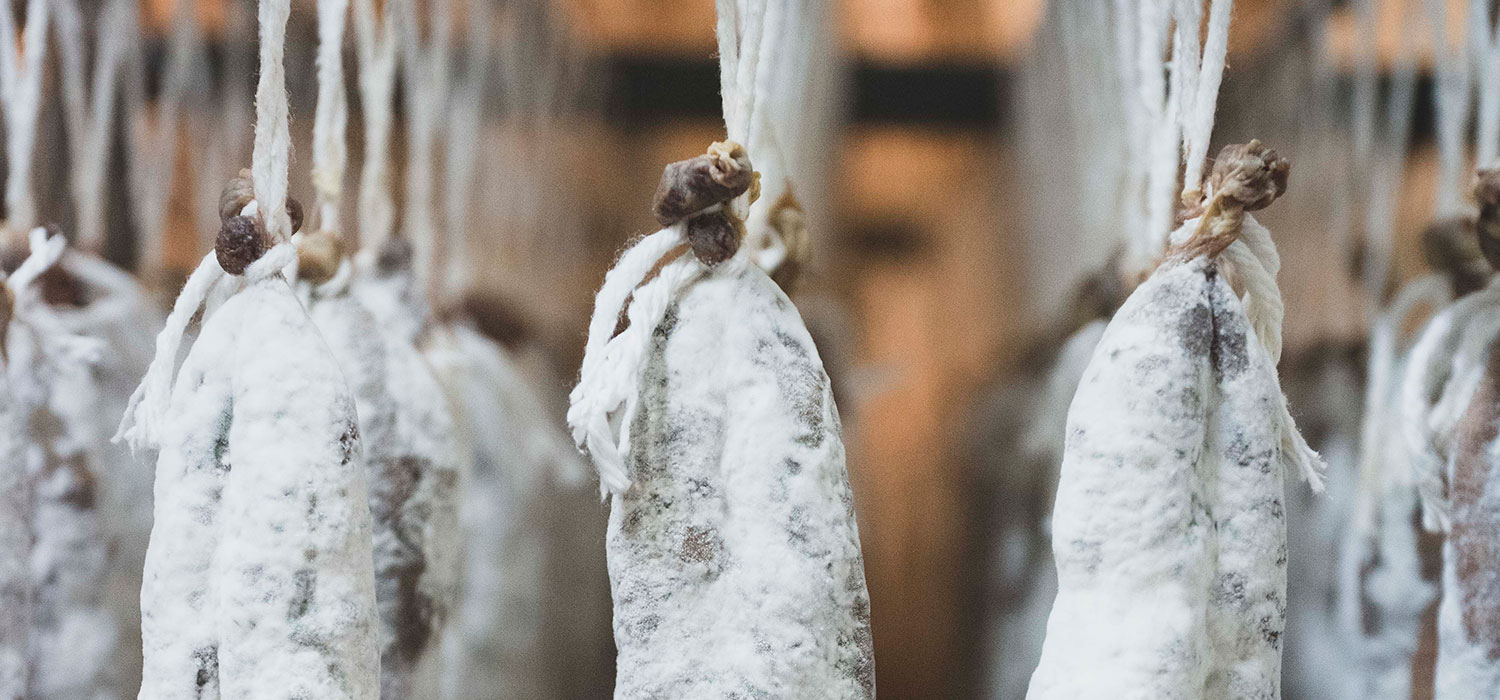 IGP Llonganissa de Vic