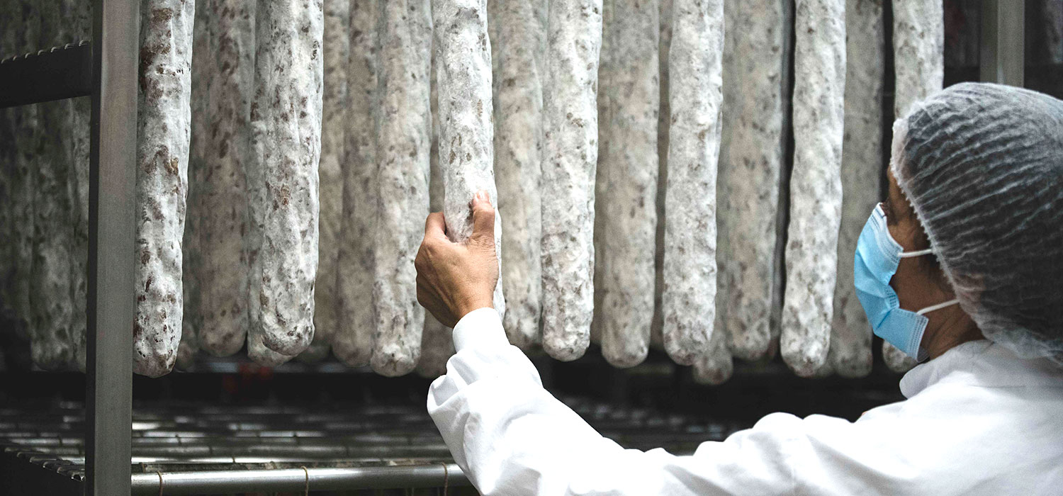 IGP Llonganissa de Vic