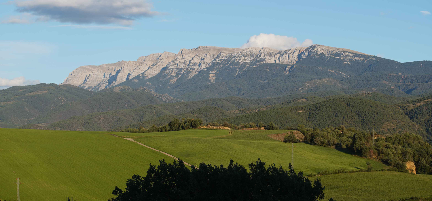 DOP Mantega de l’Alt Urgell i la Cerdanya