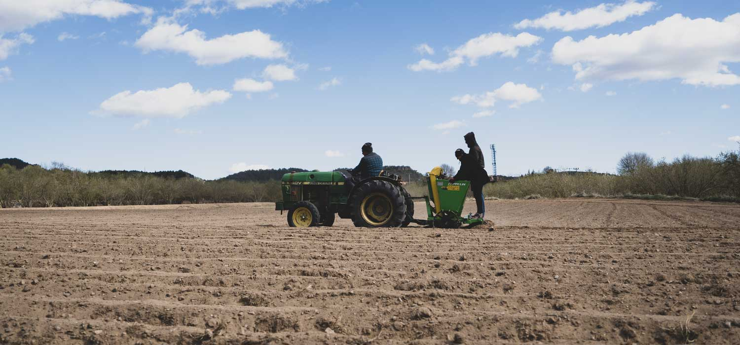IGP Pommes de terre de Prades