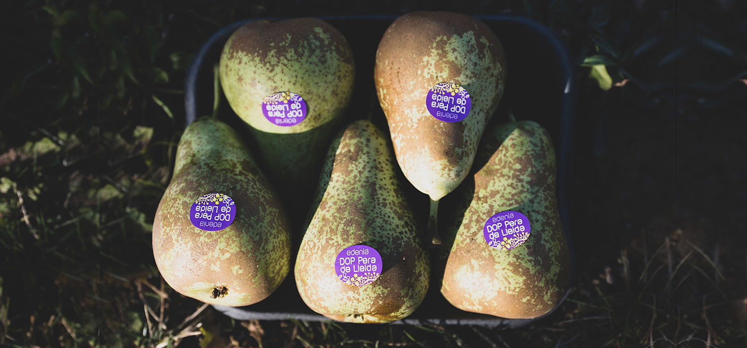 DOP Lleida pear