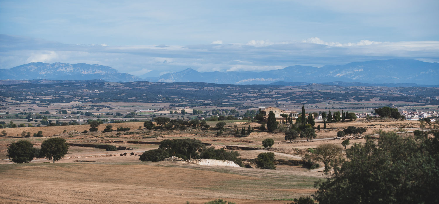 IGP Nougat from Agramunt