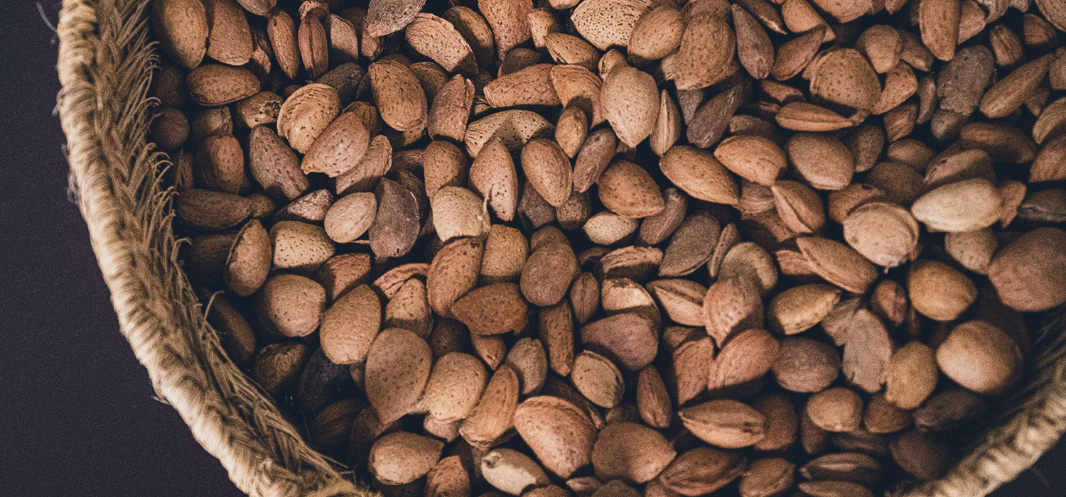 IGP Nougat from Agramunt